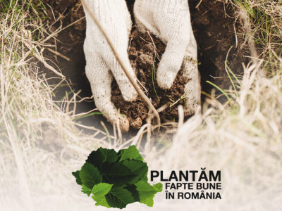 Plantam Fapte Bune in Romania